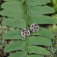 Pair of Silver Pentacle Post Earrings elegantly placed on a fern frond, complemented by soft moss in the background.