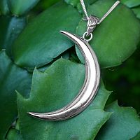 Sterling Silver Lunar Magic Pendant rests on a bed of succulents, the silver contrasting beautifully with the green leaves.