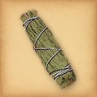 Cedar Herb Bundle, tied with string, featuring tightly packed dried cedar ready for smoke cleansing rituals.
