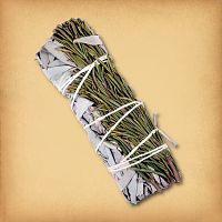 Sage and Pine Herb Bundle, tied with string, featuring tightly packed dried sage and pine ready for smoke cleansing rituals.