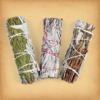 Sage Bundle Sampler II - a trio of tightly packed bundles of dried herbs wrapped with string, for smoke cleansing rituals
