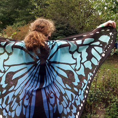 Summer Blue Butterfly Fairy Wings