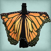 Monarch Butterfly Fairy Wings