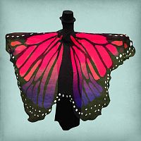 Ruby Red Butterfly Fairy Wings
