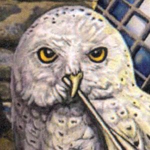 "Literary Owl" Cross Stitch Pattern