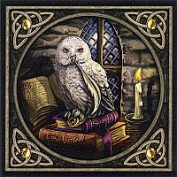 "Literary Owl" Cross Stitch Pattern