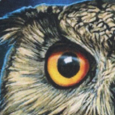 "Wise One" Owl Cross Stitch Pattern