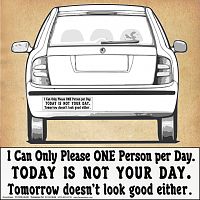 "I can only please ONE person…" Bumper Sticker