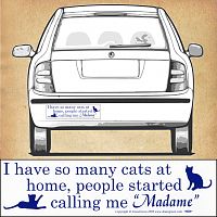 "So Many Cats" Bumper Sticker