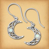 Silver Crystal Moon Earrings