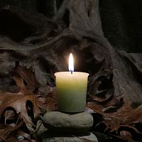 Herbal Magic Abundance Votive Candle