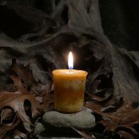 Herbal Magic Confidence Votive Candle