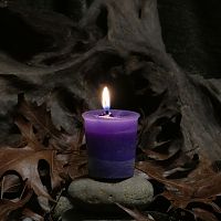 Herbal Magic Creativity Votive Candle