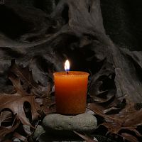 Herbal Magic Housewarming Votive Candle