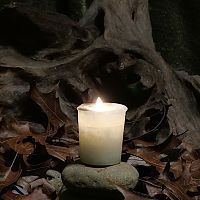 Wild Sagebrush Votive Candle
