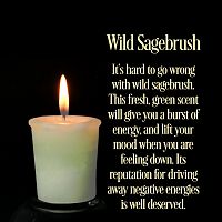 Wild Sagebrush Votive Candle