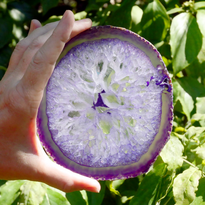 Purple Agate Slice