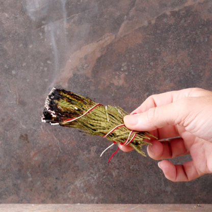 Hand holding a lit Cedar Herb Bundle, with one end smoldering, and a trickle of smoke rising upward from the end.