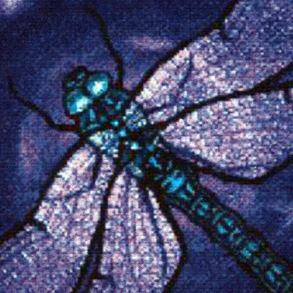 Dragonfly Cross Stitch Pattern