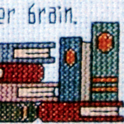 "Addled Her Brain" Cross Stitch Pattern