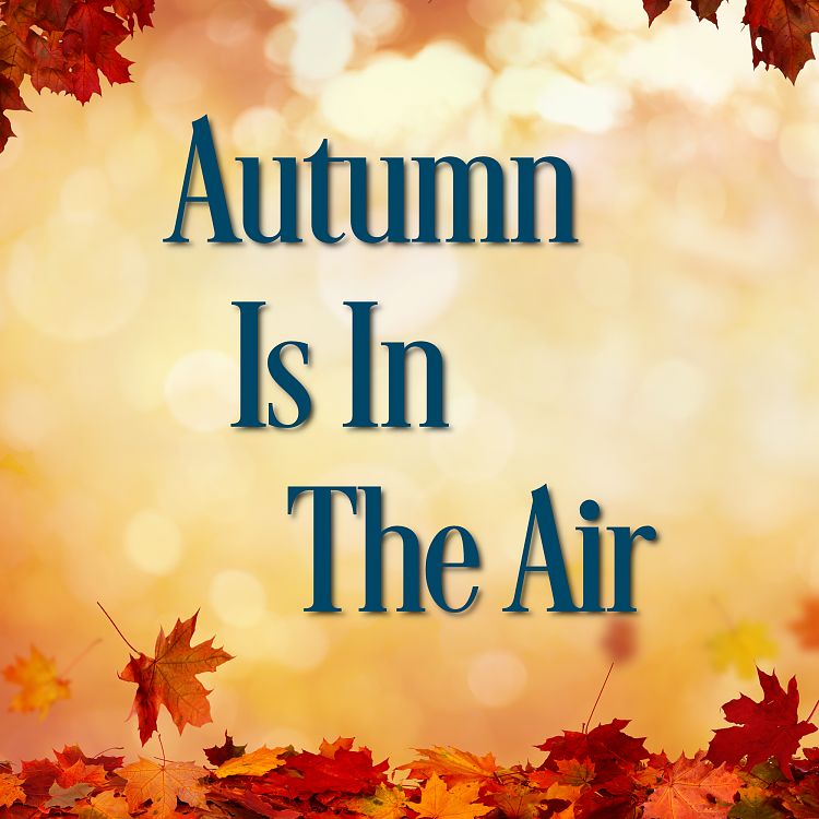 Autumn Is In The Air